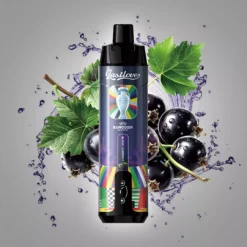 last-love-Black-Currant